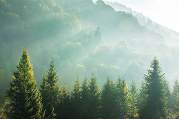 一城山水一场空原唱是谁 不过是一城山水一场空